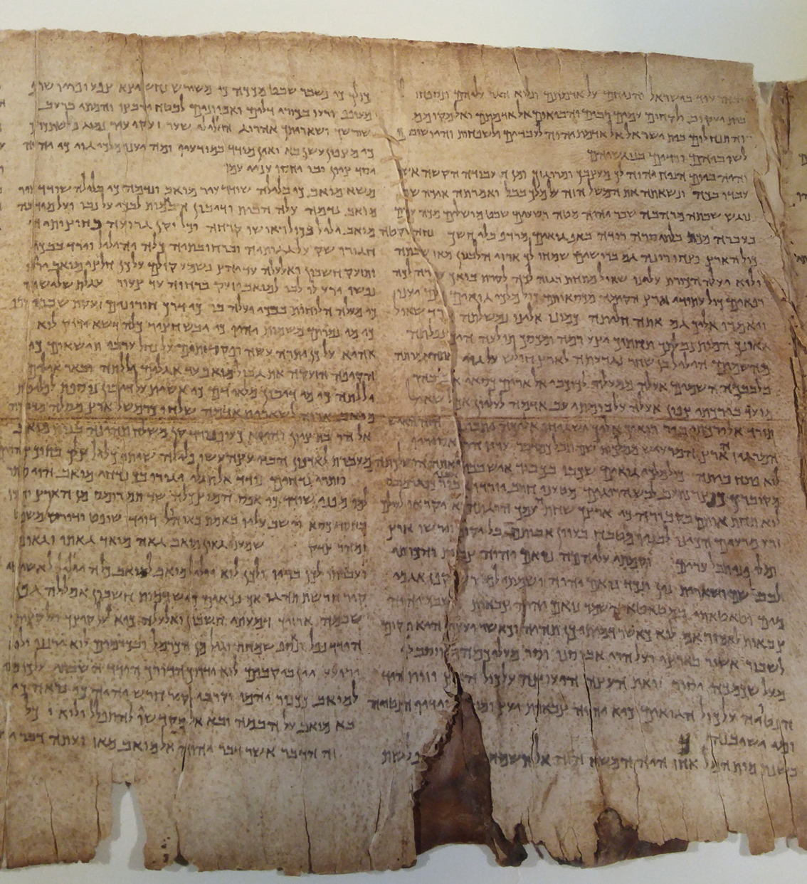 Facsímil del Gran Rollo de Isaías, columnas 12–13, con Isaías 14–16 y el pasaje hêlēl ben-shaḥar.