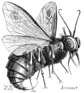 Grabado de Belzebuth por Louis Le Breton, Dictionnaire Infernal, 1863